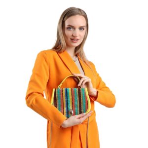 Lisa Multicolor Striped Women Crossbody Bag